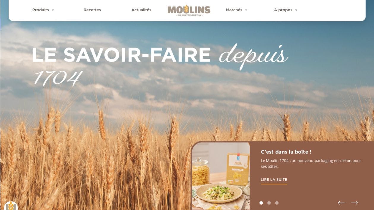 Moulins website homepage