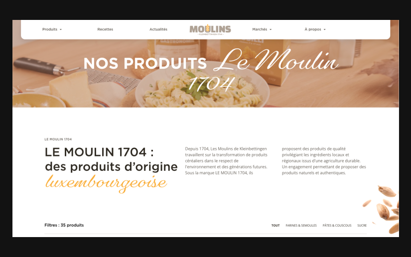 Moulins website